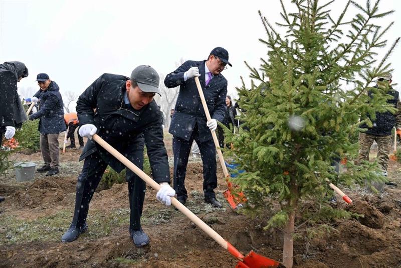 Image - 2026-04-16T150608.753.jpeg