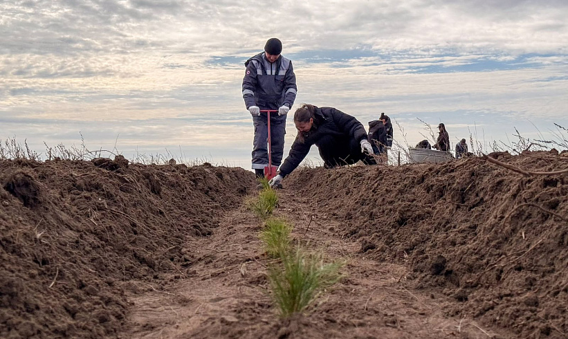 Samruk-Kazyna Supports Forest Restoration in Two Regions of Kazakhstan